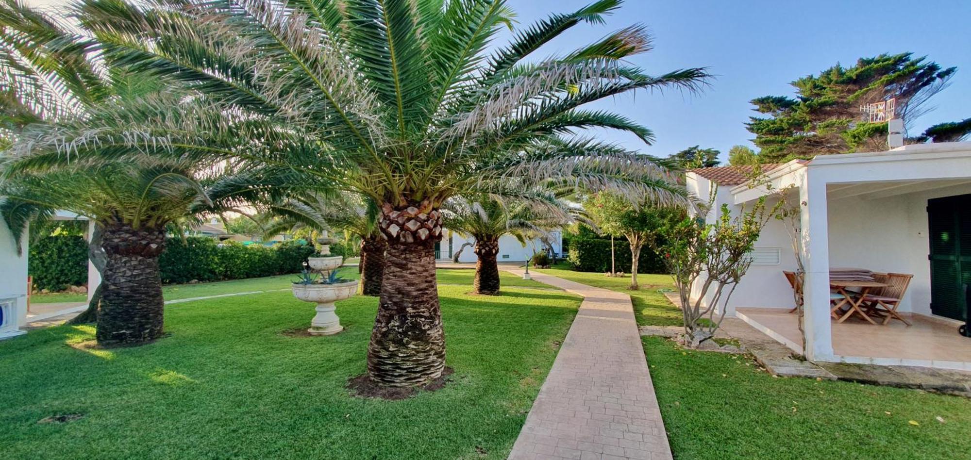 Golondrinas - Tramuntana * Cala'N Bosch (Menorca)