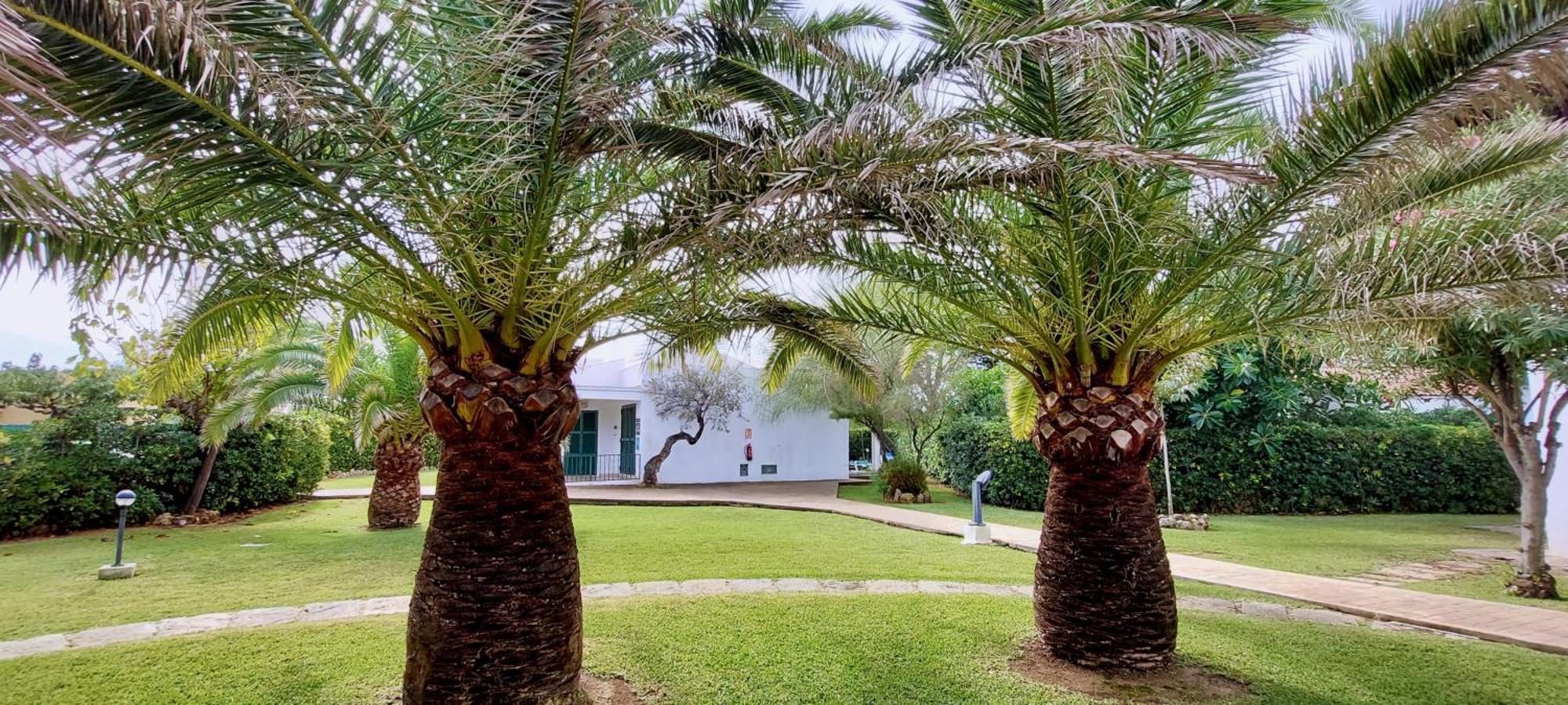 Casa Tramuntana - Golondrinas Cala en Bosch